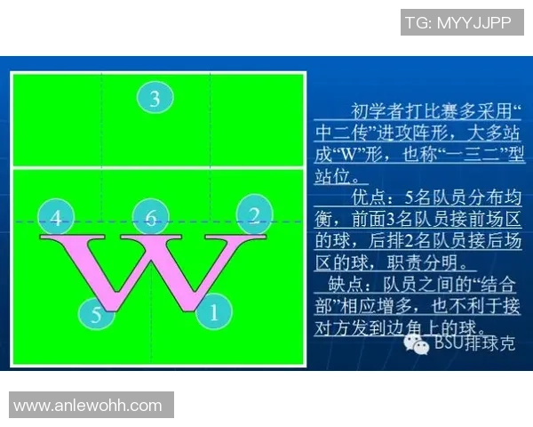广州排球队中路突破战术解析与实战应用研究